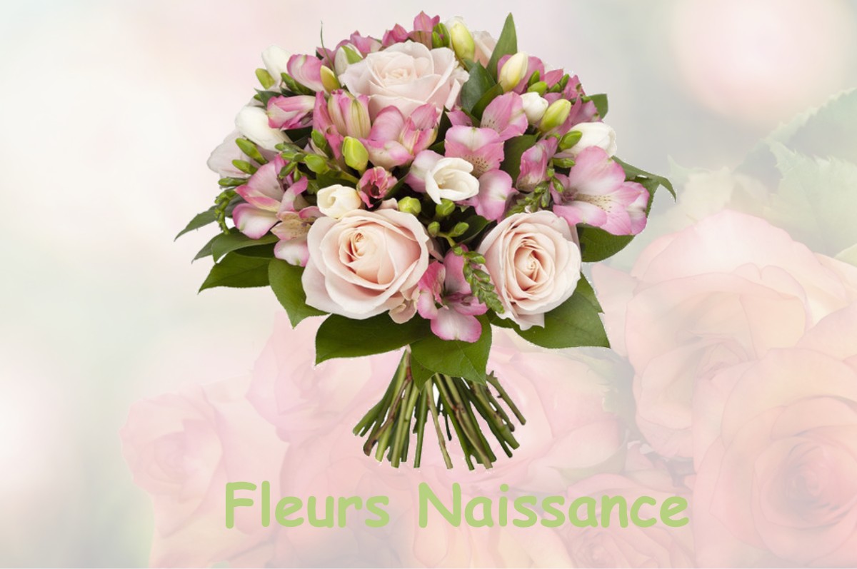 fleurs naissance ROANNES-SAINT-MARY